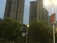 伟隆国际澜郡 4室2厅 南