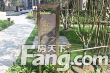 开元上附 洋房 东户位置好 毛坯任意装修