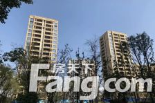 过五唯一 带储藏室 低公摊洋房带装修简单收拾即可入住