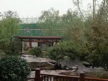 诺德别墅 南院 土建都已完工 证满2年