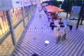 锦冠·时光里实景图