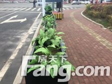 红星威尼斯一楼两室带花园精装修拎包住看房方便诚意