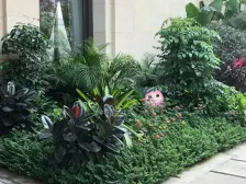 城南新小区 看房方便 价格实惠