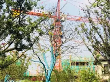 此房中间楼层,户型方正,通透,采光视线好