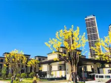 卢塞恩联排端户诚心出售,大院子