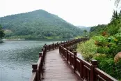 周边桃花岭公园