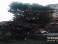 急售洋房小区 顶带阁 五房两卫