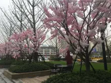 单价9个千,买新力品质精装大三房。中间楼层,好位置。拎包住