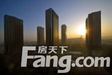 森林氧吧 一梯一户 物业管理和小区环境很好