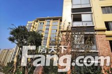 仁城雅居,精装房,全明户型,看房方便!