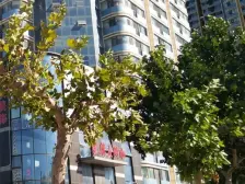 东方国际+小面积一居室+居家装修+无大税