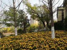 漫山香墅西二区 5室3厅 南 北