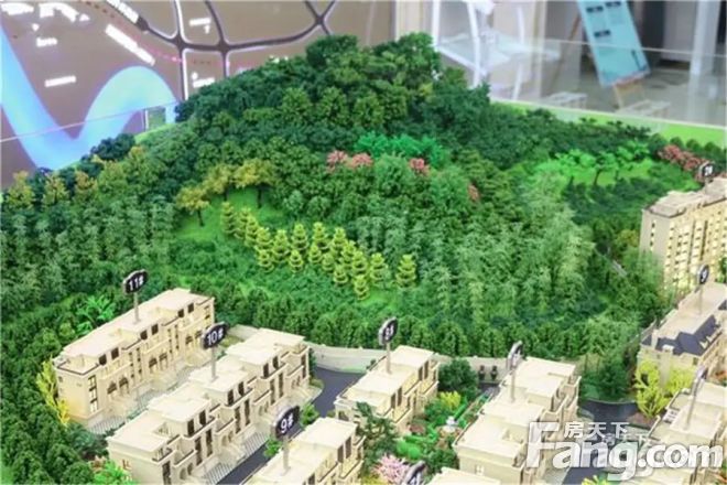 湖心别院实景图