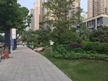 碧桂园东江月次新楼盘精装复式带租约出售