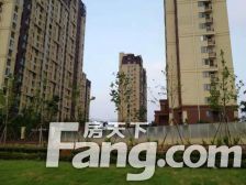 石药健康城好楼层,毛坯,有钥匙,房主着急卖。