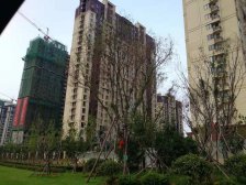 急售精装修,一梯两户,采光好,好楼层