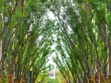 永威逸阳溪畔 4室2厅 南 北