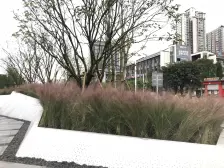 双福片区 新城和昱麟云二期三房88万