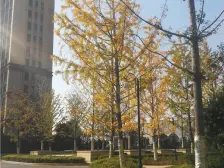 房东诚心出售,楼层好,大家多多推荐