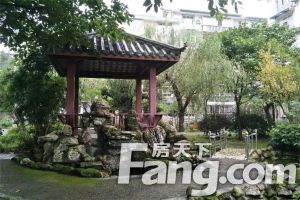 亲山印象 3室1厅 东南 南