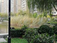 慢城宁海 1室1厅 南