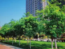 江南小镇精装大两室,婚房装修,拎包入住