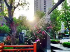 精装修三室,采光好。小区居住舒适