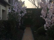 花了50万装修,带车位,有教育,中间楼层,房东很诚心