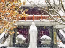 亚星江南小镇 3室2厅 南 西