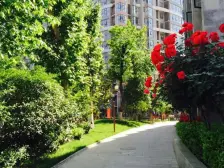 江南小镇 全新装修 一天没有住 诚心出售