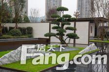 石榴紫宸府 4室2厅 北