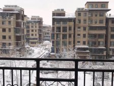 鲁大东校区6层电梯洋房,南北通透格局好,楼层好!