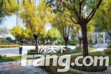 锦尚国际 精装四楼 采光好 价格可议