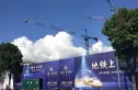 随园金麟府实景图