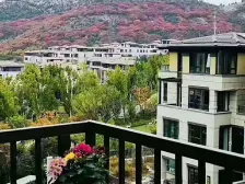 六层洋房 四叶草户型 视野开阔