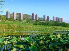 南北通透高尔夫景两居 丹岭云天阁89平仅85万