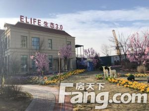 亿利生态城西区 3室2厅 南 北