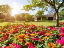 大四房,两梯两户,前排别墅区,北面露天泳池