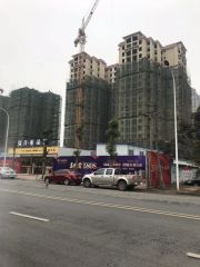 蜀青丽晶府 3室2厅 东南