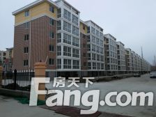 善成新村带院子可拎包入住不错的选择