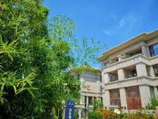 城区好位置 近海边 客厅挑高 大院子 唯一