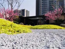 房子户型方正 好楼层 好位置 可随时看房