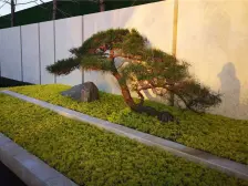 品质洋房,契税满二,现房中间楼层采光好,业主诚心售