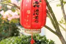 石榴·运河首府实景图