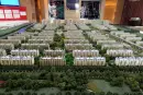亿阳金都馨城实景图