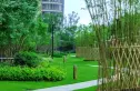 恒大御景实景图