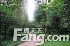 雄飞新园紫郡 3室2厅 西 东