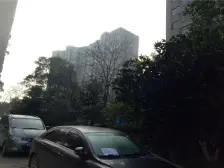 首付三十万买中大紫都温馨两居洋房 南北通透 装修精致