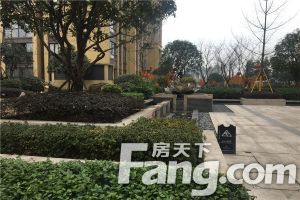 金科中心2室2厅南