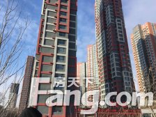 叶知林2室1厅南北东